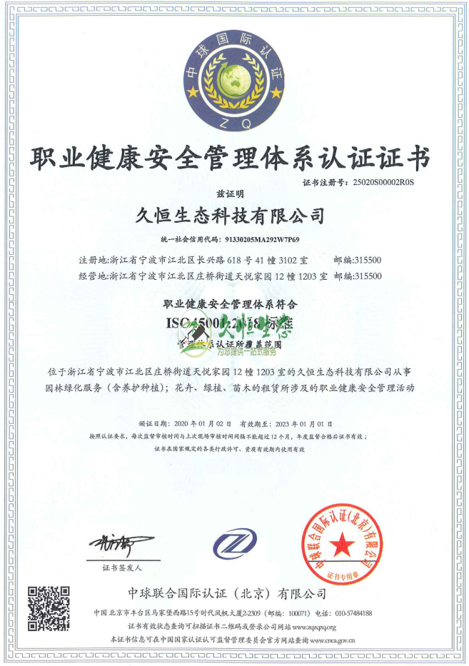 武汉新洲职业健康安全管理体系ISO45001证书